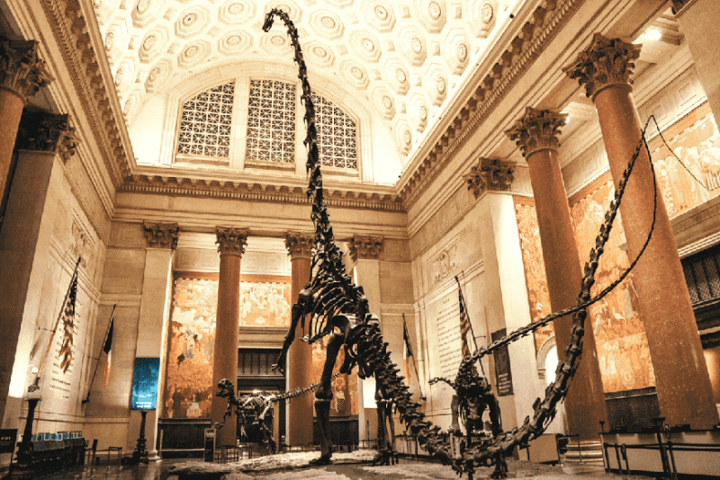 Museu da História Natural em Nova York