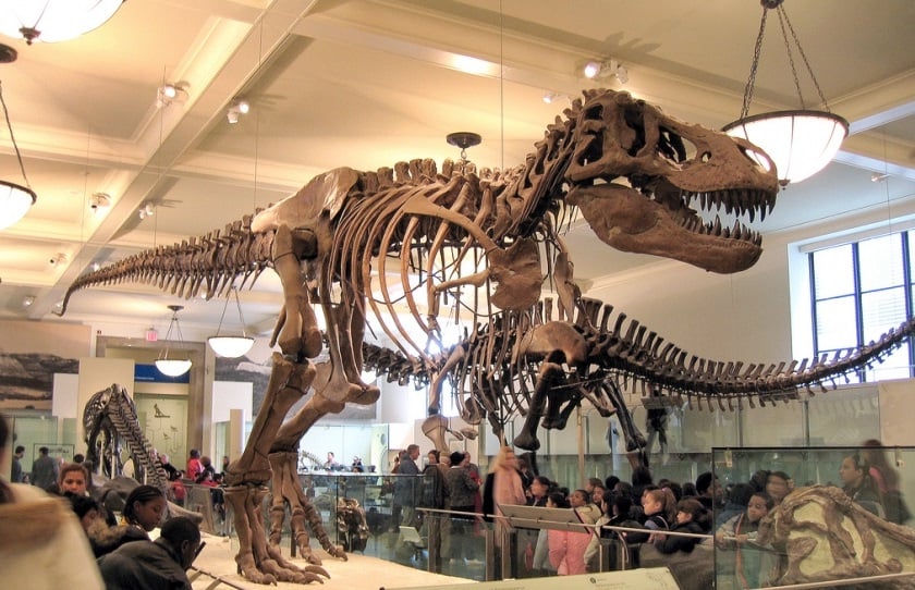 Museu de História Natural em Nova York