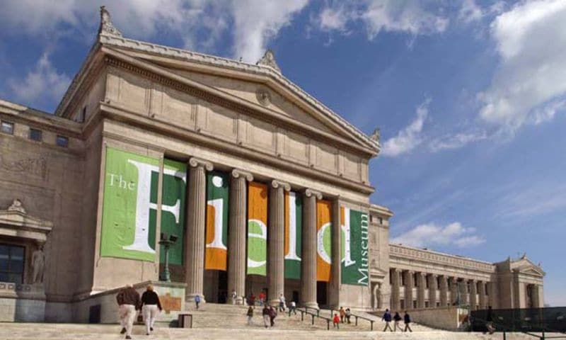 Field Museum of National History em Chicago