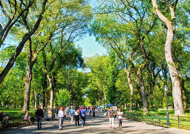 Curiosidades sobre o Central Park em Nova York