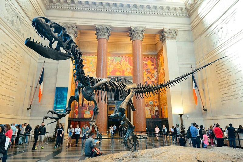 Exibição no Museu Americano de História Natural em Nova York