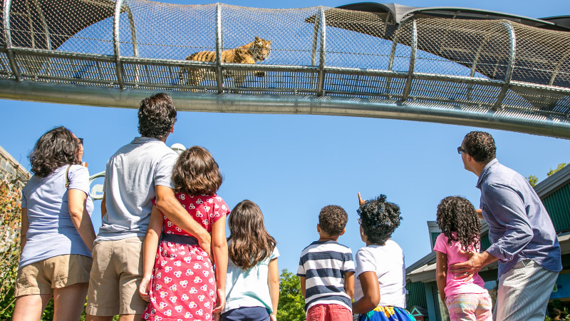 Turistas no zoológico da Filadélfia