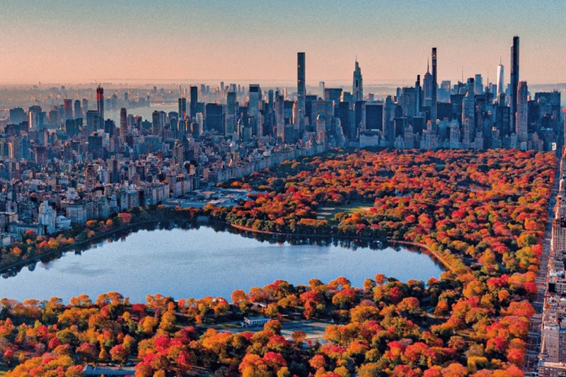 Coloração das árvores no outono em Nova York