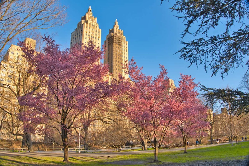 Central Park em Nova York na primavera
