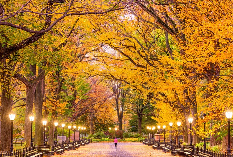 Central Park em Nova York no outono