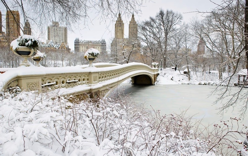 Inverno com neve em Nova York