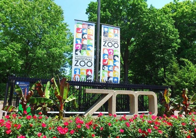 Zoológico National Zoo em Washington