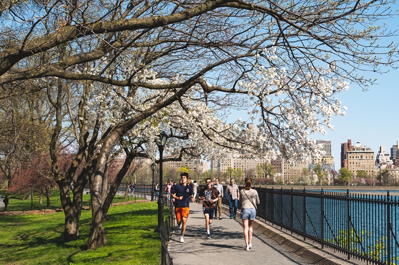 Pessoas se exercitando na primavera em Nova York