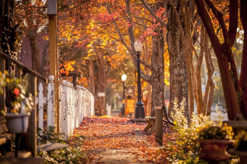 Folhagens de outono na Filadélfia